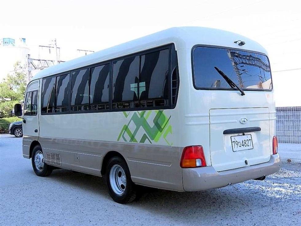 2009 - hyundai e-county