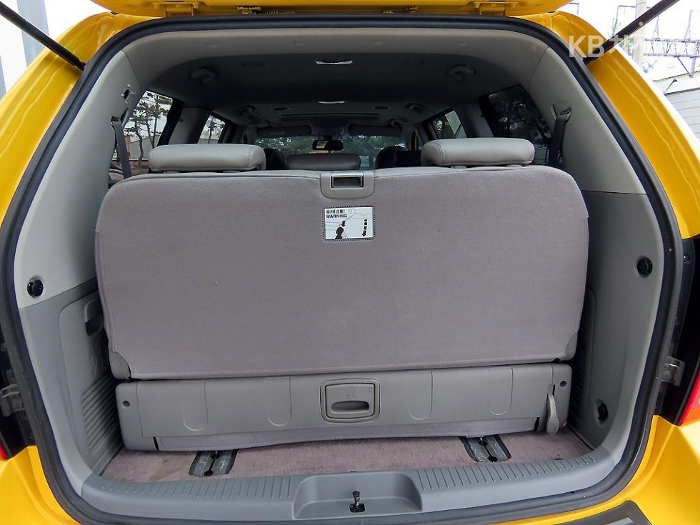 2013 - kia carnival