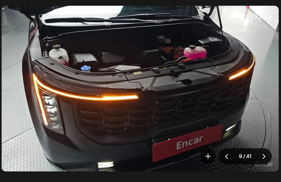 Kia Carnival — miniaturë 6