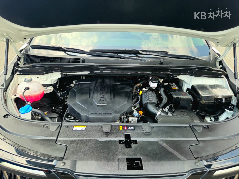 Kia Carnival — miniaturë 6