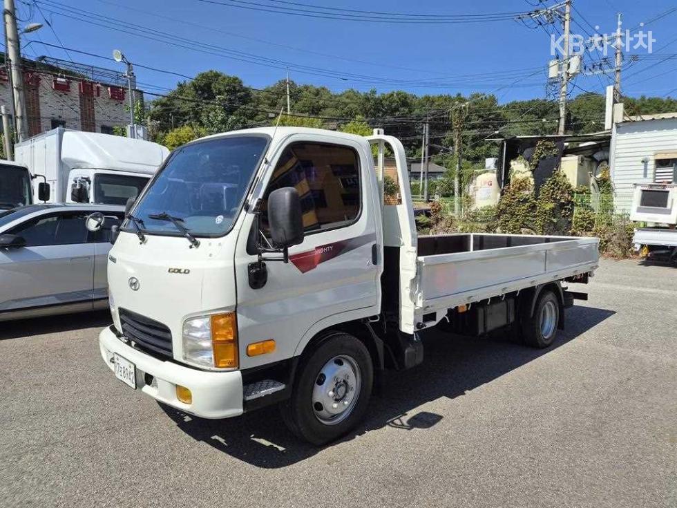 Hyundai E-Mighty