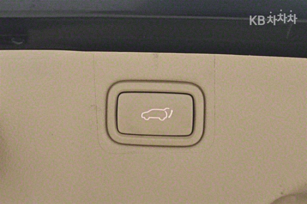 2019 - kia carnival