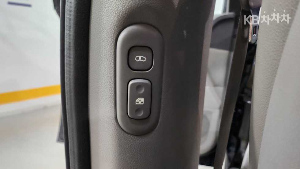 2013 - kia carnival