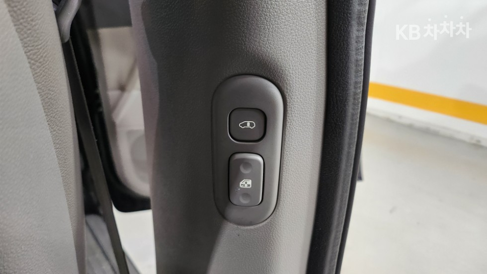 2013 - kia carnival