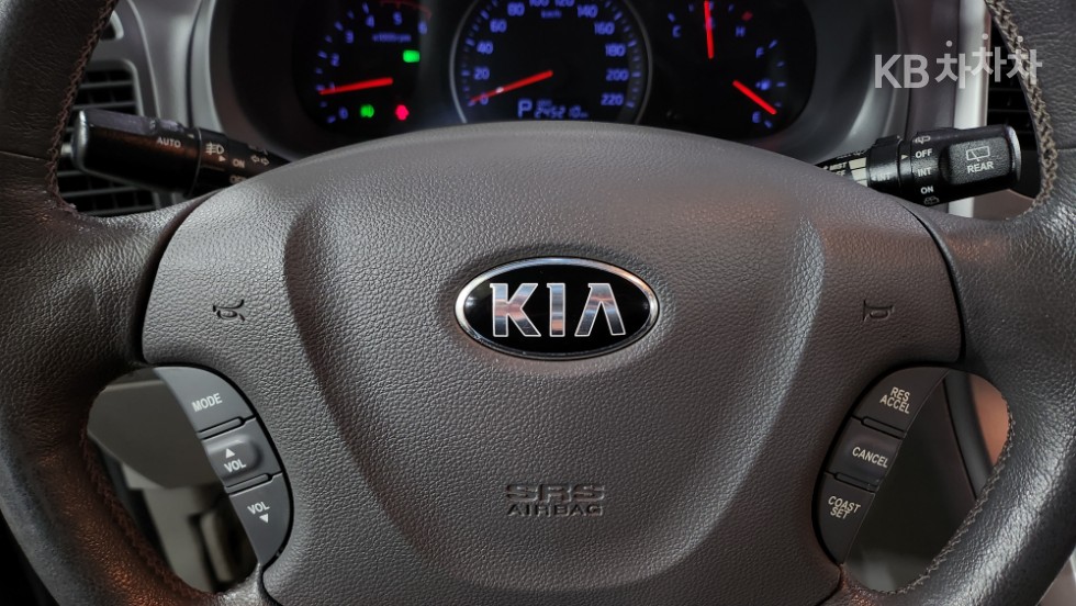2013 - kia carnival