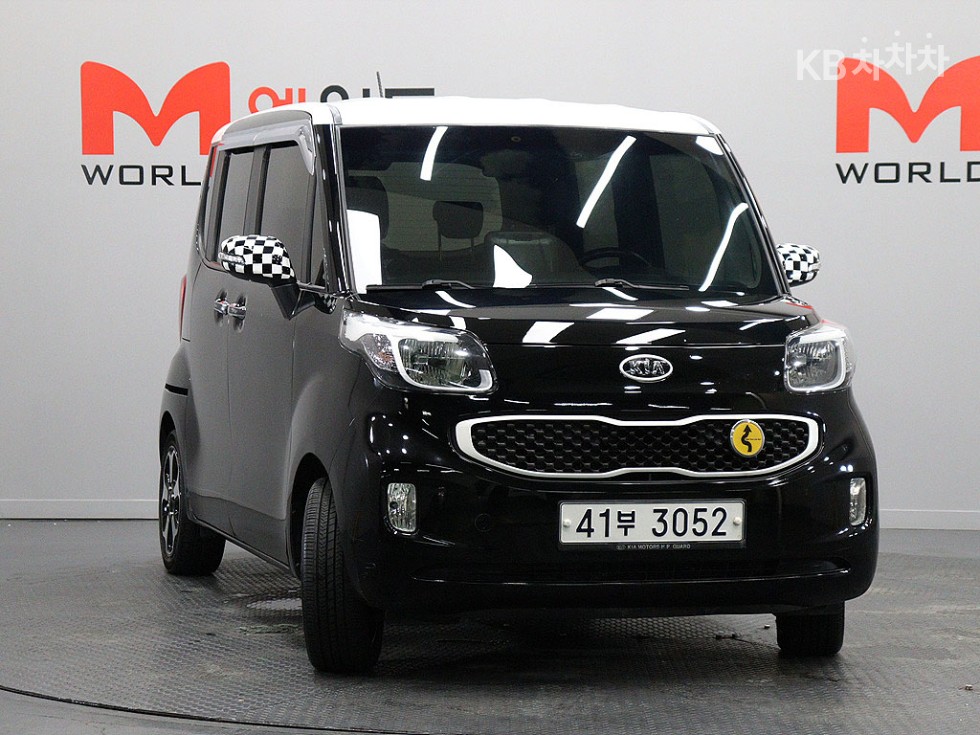 2013 - kia ray