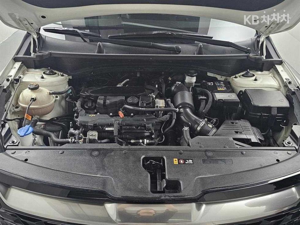 2024 - kia sportage