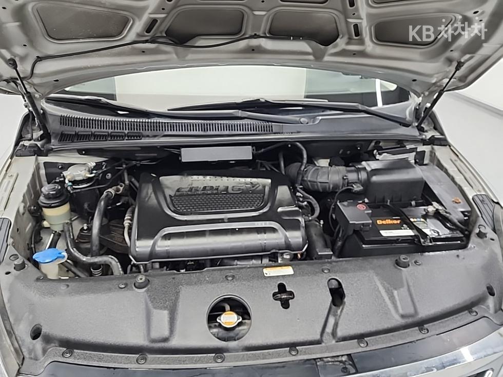 2010 - kia carnival
