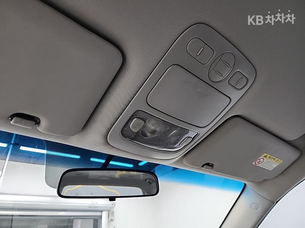 2010 - kia carnival