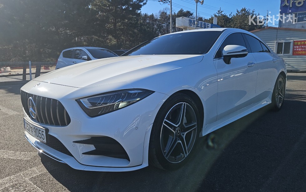 Mercedes-Benz CLS클래스(C257) CLS300d AMG Line - фото 1