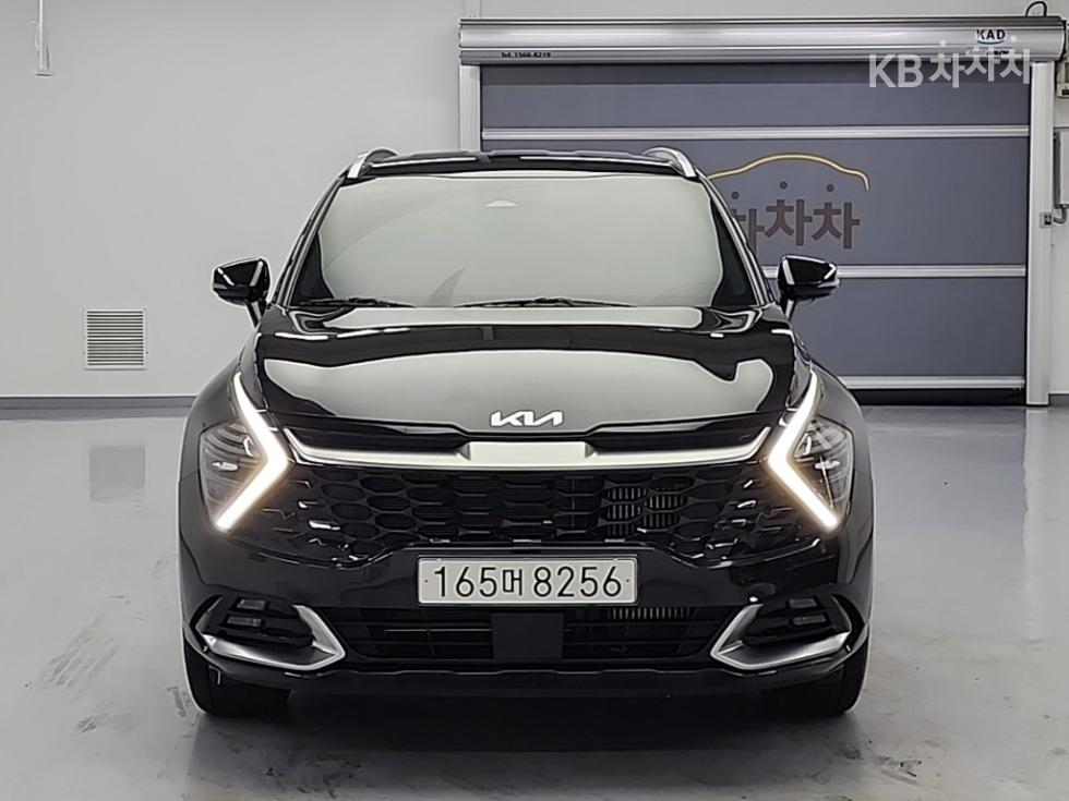 2024 - kia sportage