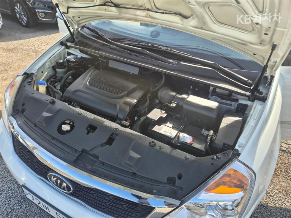 2011 - kia carnival