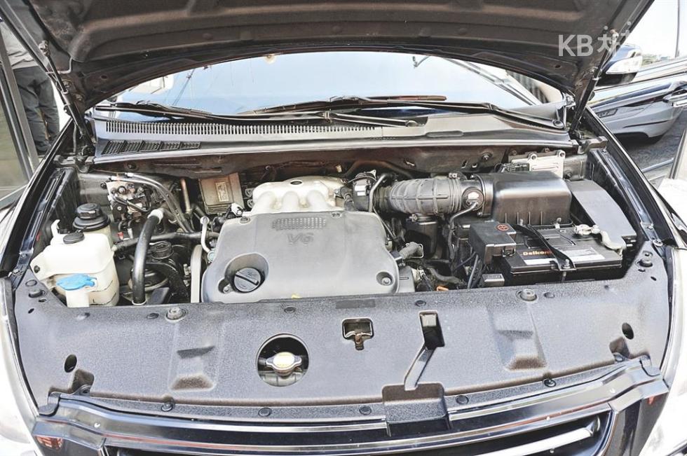 2010 - kia grand carnival