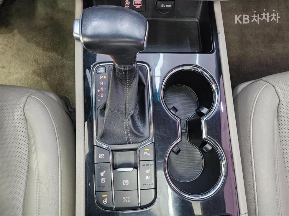 2019 - kia carnival