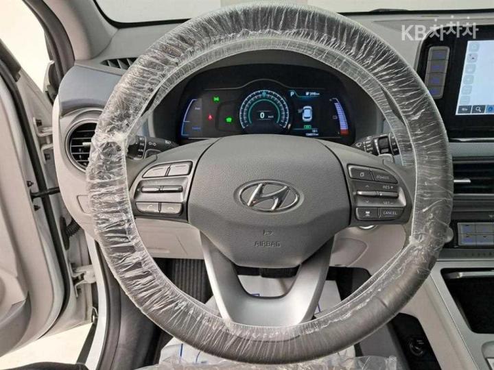 Hyundai Kona Electric Premium 8