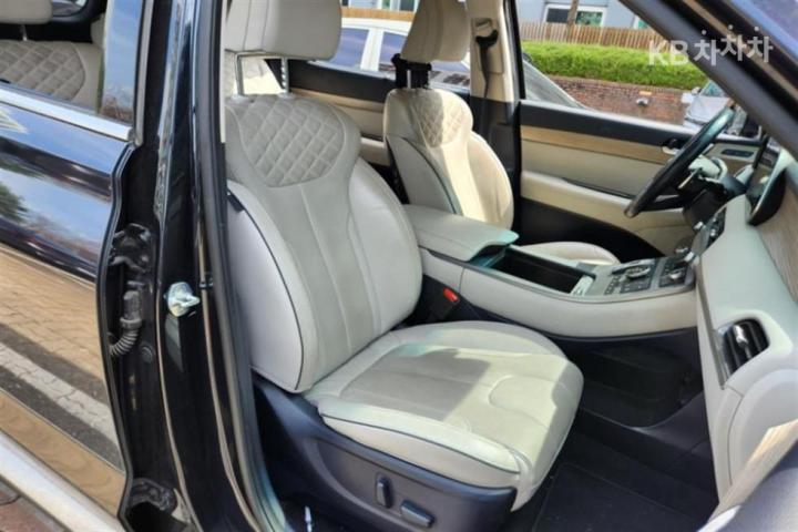 Hyundai Palisade 2.2 Diesel AWD Prestige 8