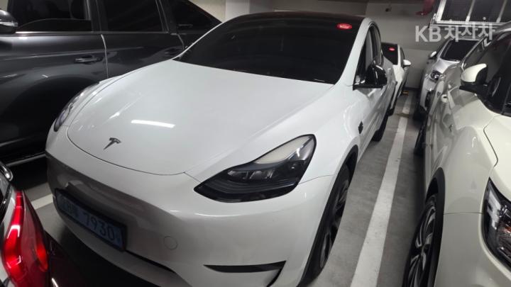 Tesla Model Y RWD Base Type