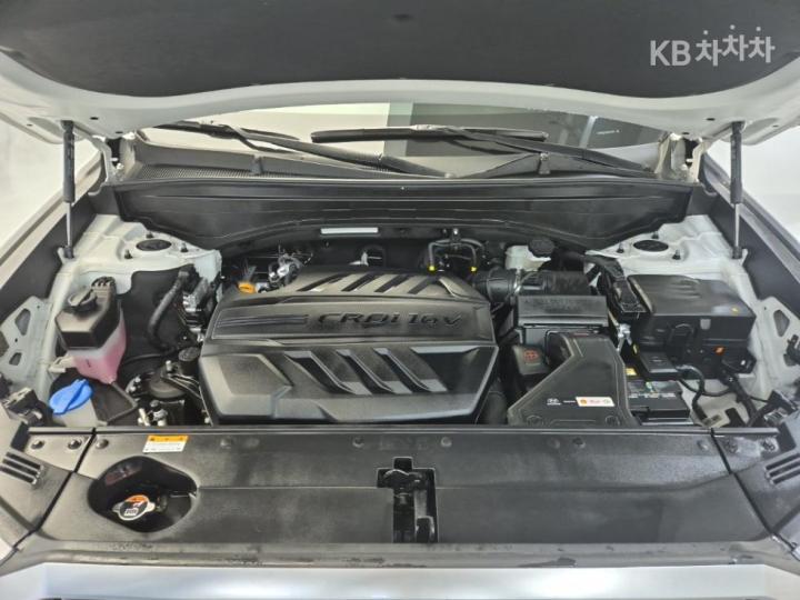 Hyundai Palisade 2.2 Diesel AWD Prestige 6