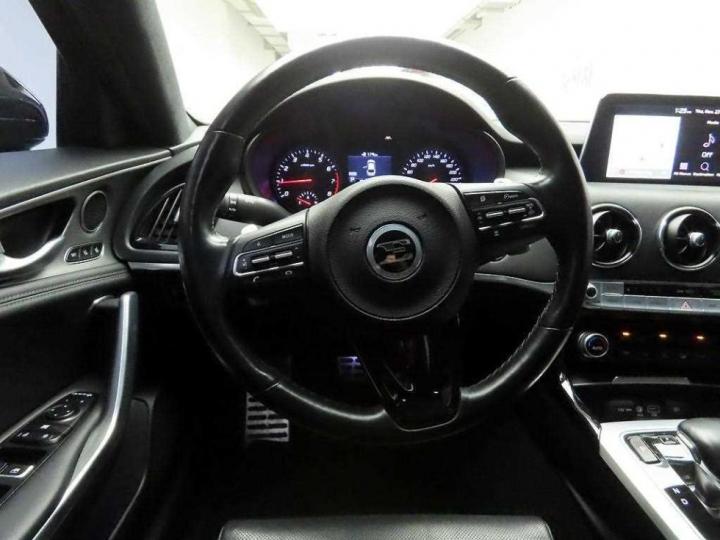 Kia Stinger 2.0 Turbo 2WD Platinum 9