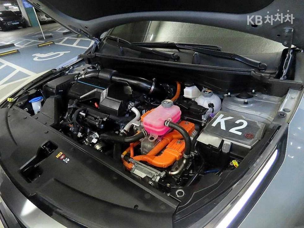 2024 - kia sportage