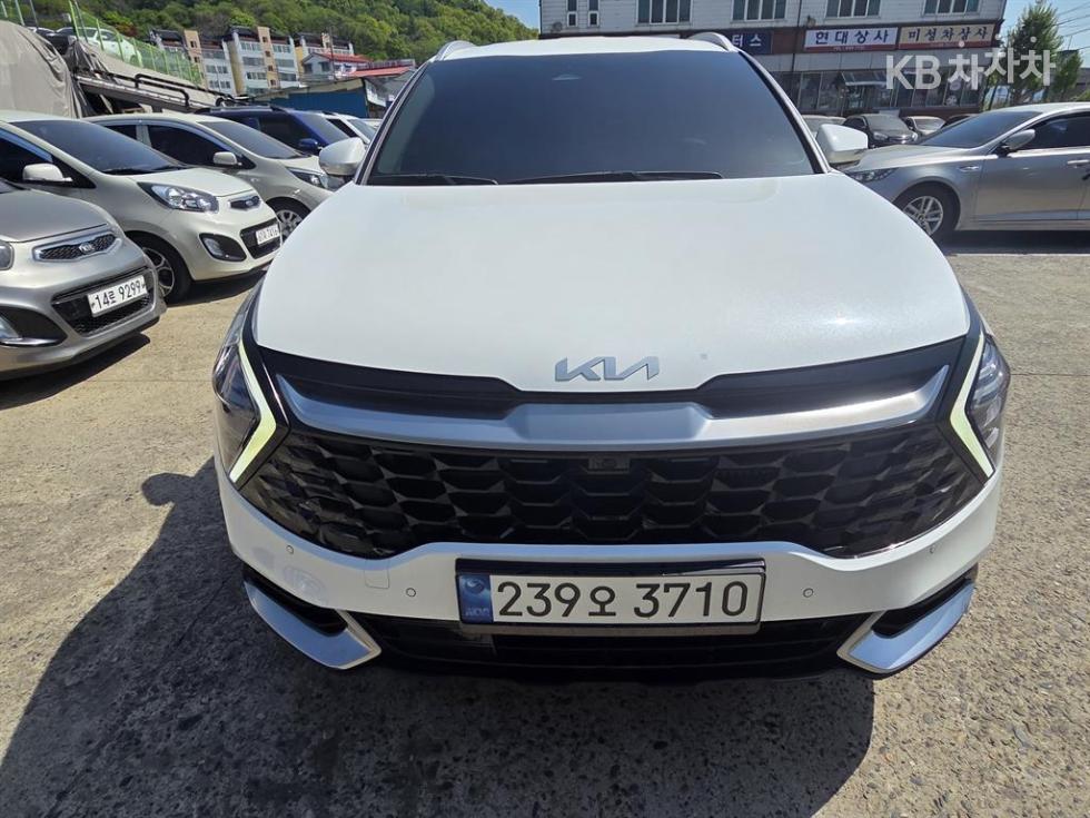 2023 kia sportage