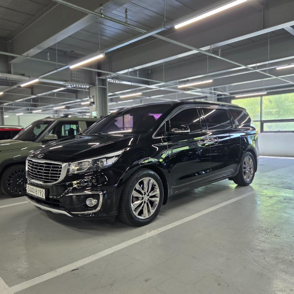2018 - kia carnival