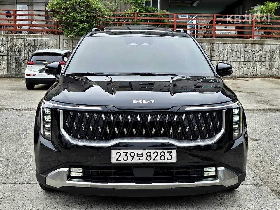 2024 - kia carnival