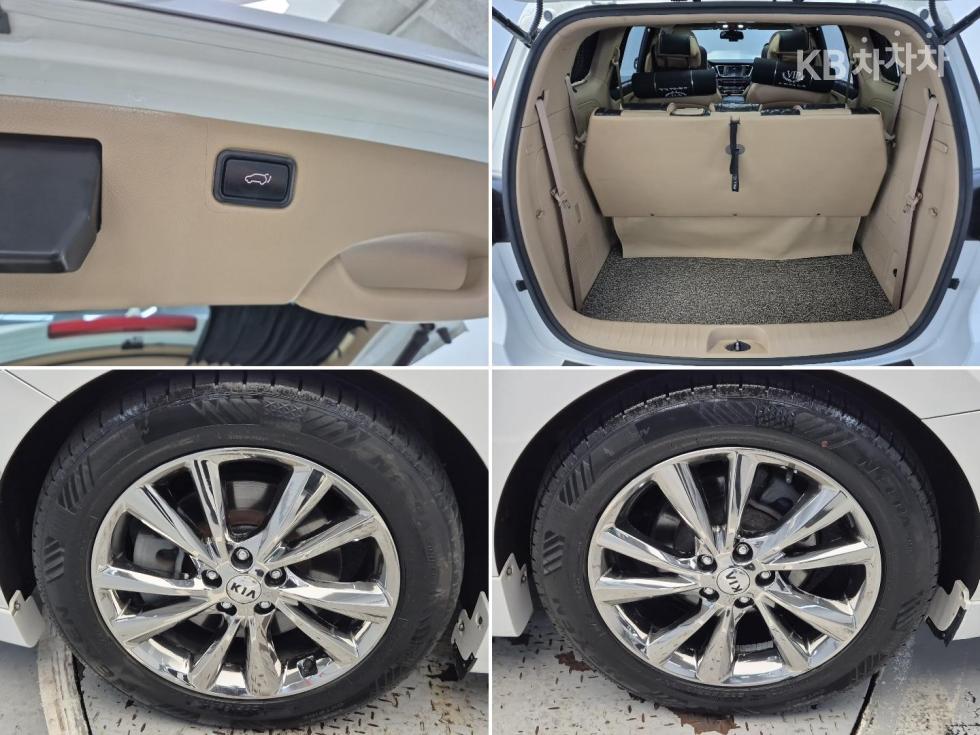 2019 - kia carnival