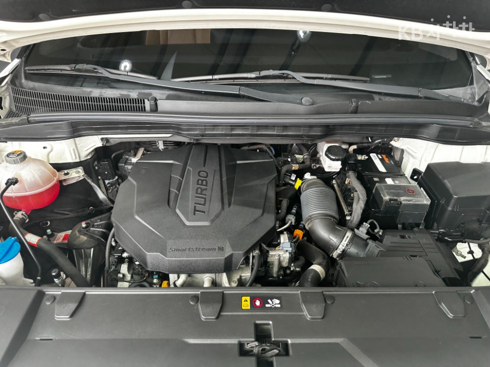 2021 - kia carnival