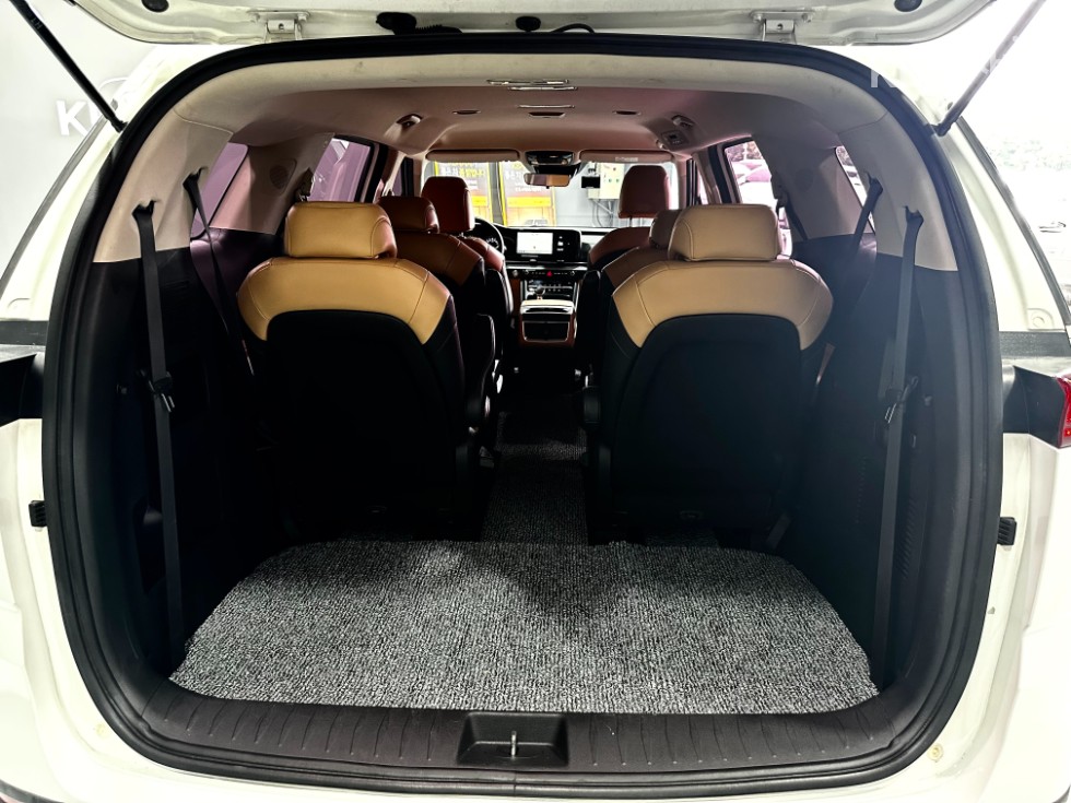 2021 - kia carnival