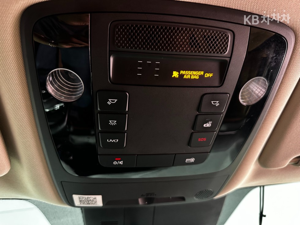2021 - kia carnival