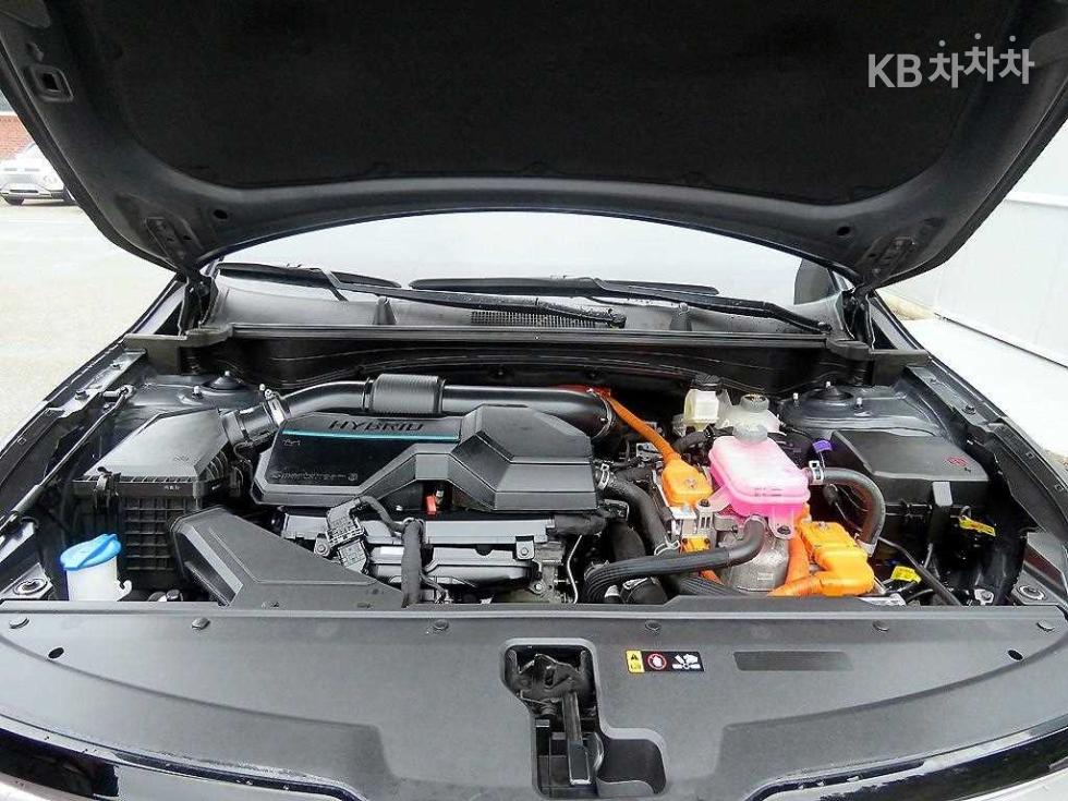 2024 - kia sportage