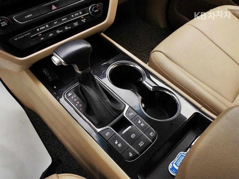 2019 - kia carnival