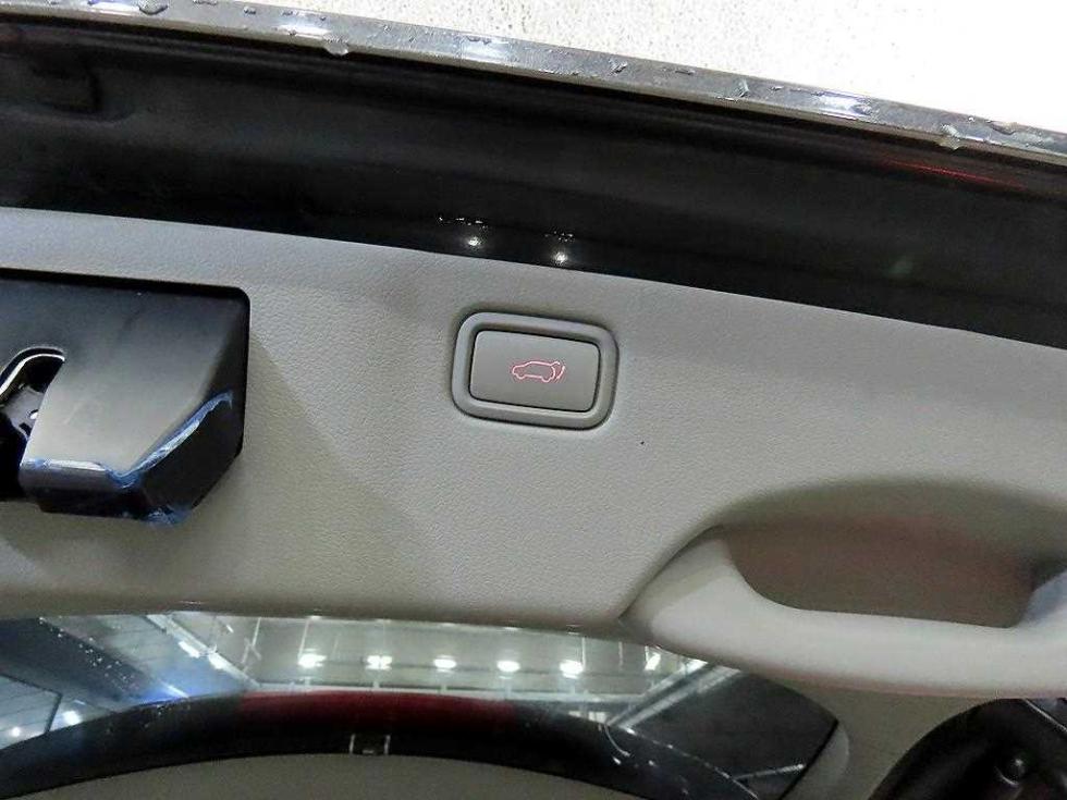 2020 - kia carnival