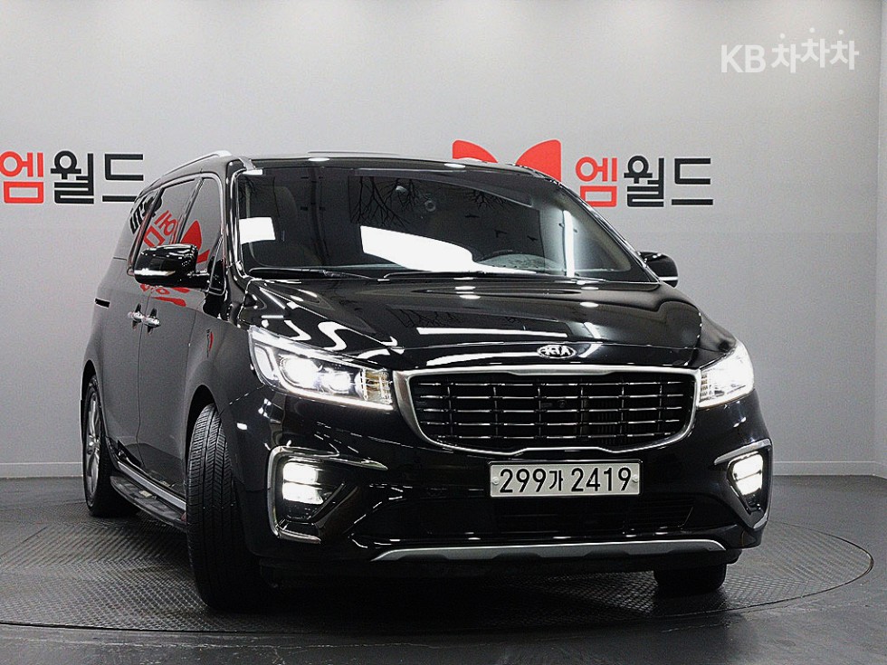 2019 - kia carnival