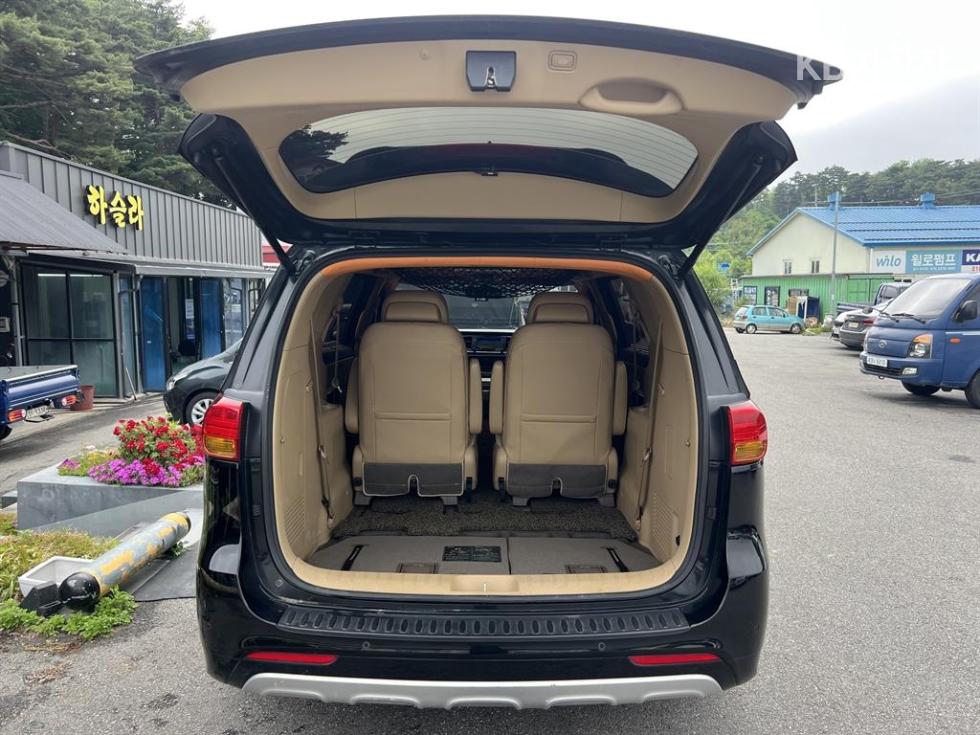 2018 - kia carnival