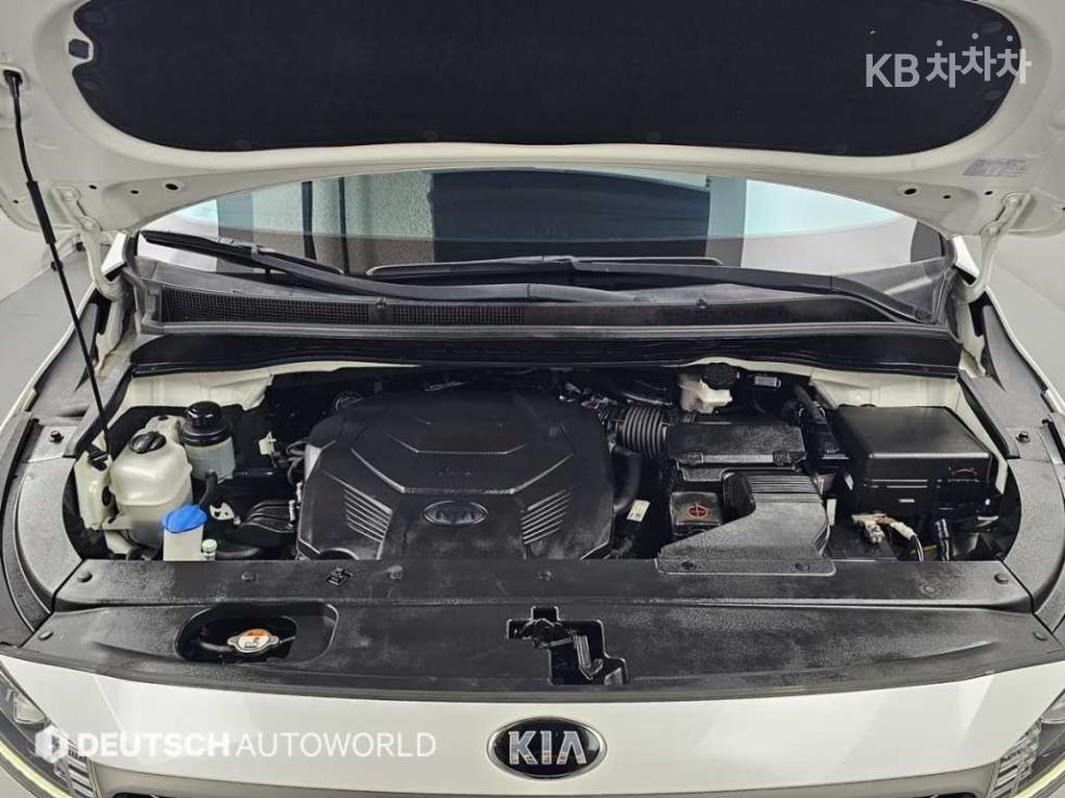 2019 - kia carnival