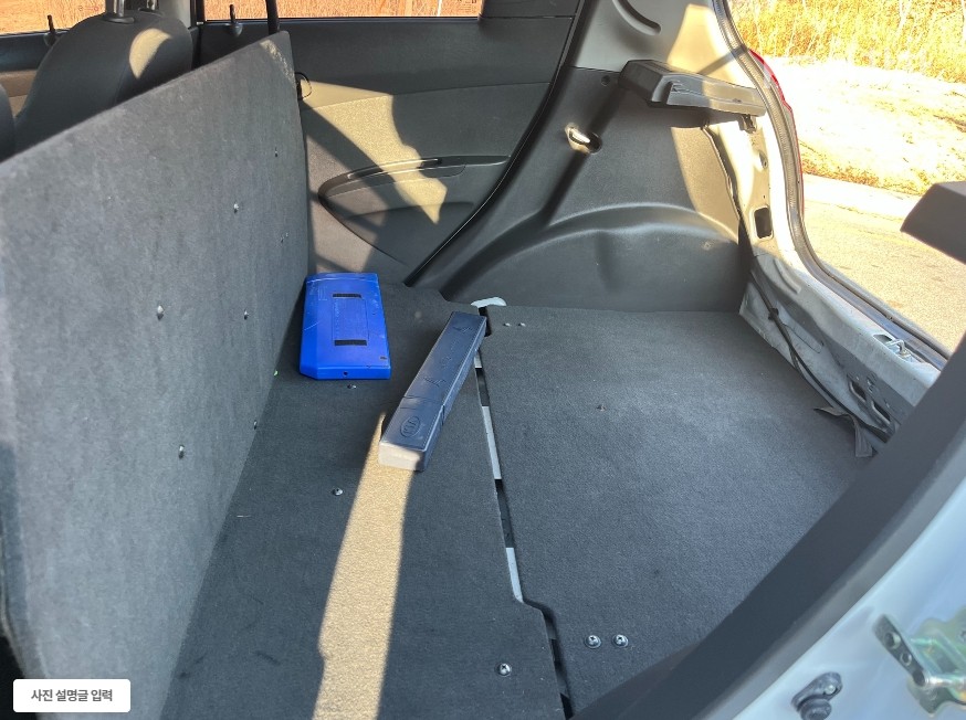 2012 - kia carnival