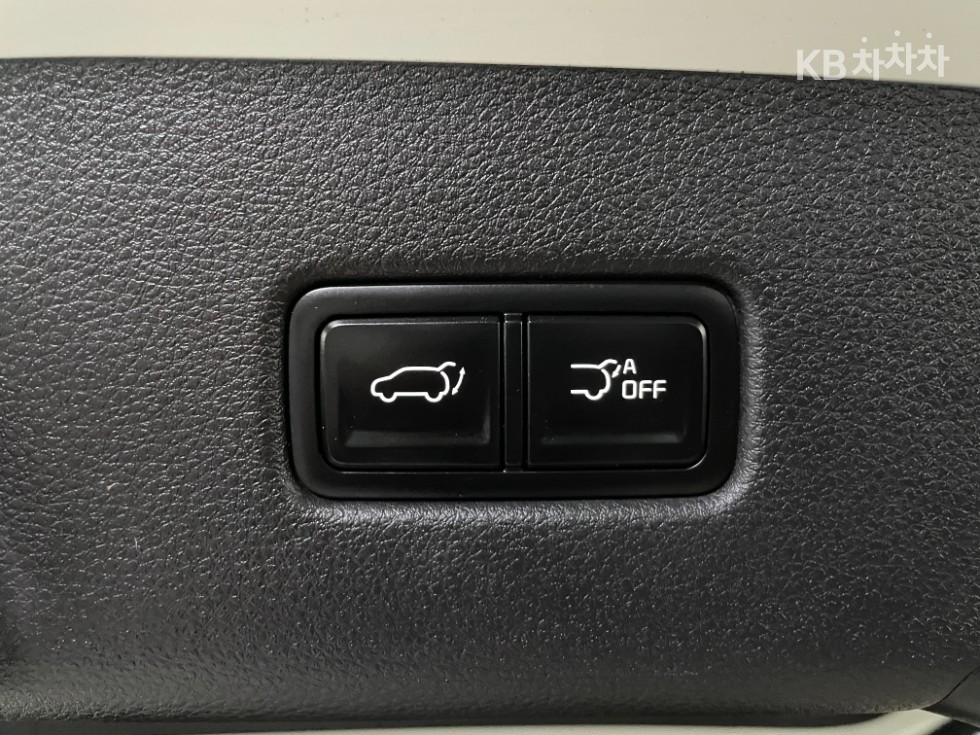 2021 - kia carnival