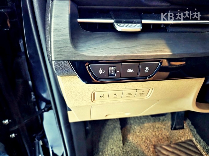 2021 - kia carnival