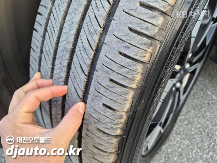 Kia Carnival D2.2 Noblesse 8