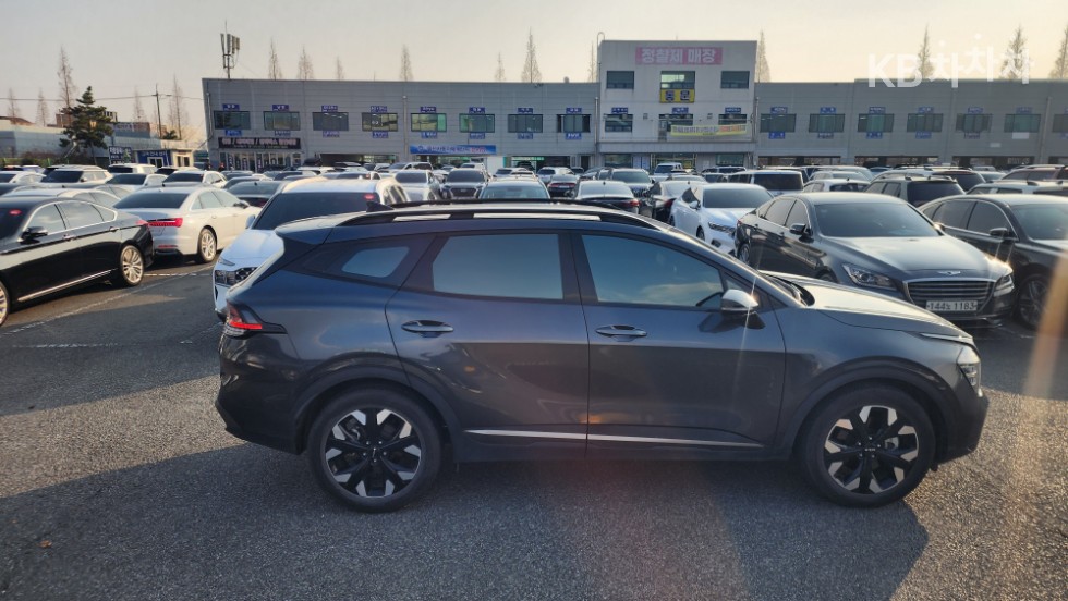 2024 - kia sportage