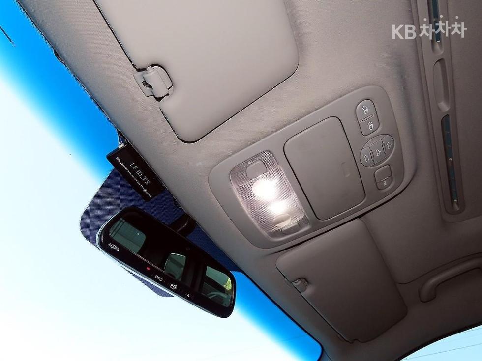 2013 - kia carnival