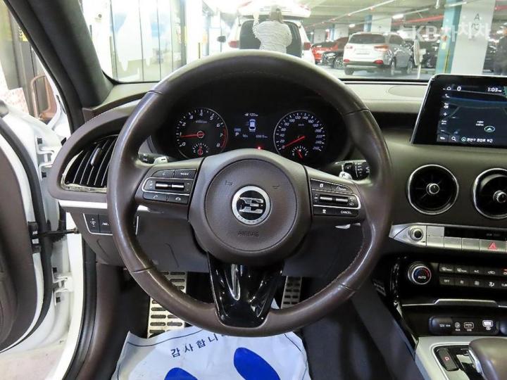 Kia Stinger 2.0 Turbo 2WD Platinum 9