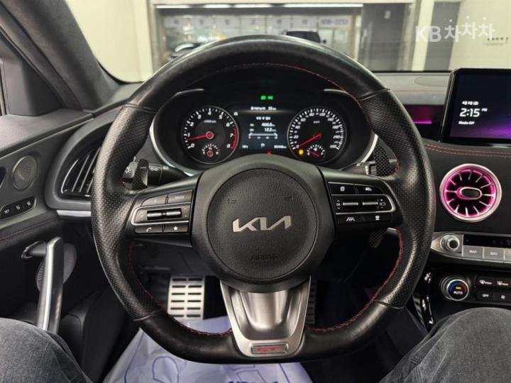 Kia Stinger Meister 3.3 Gasoline Turbo 4WD Acro Edition 8