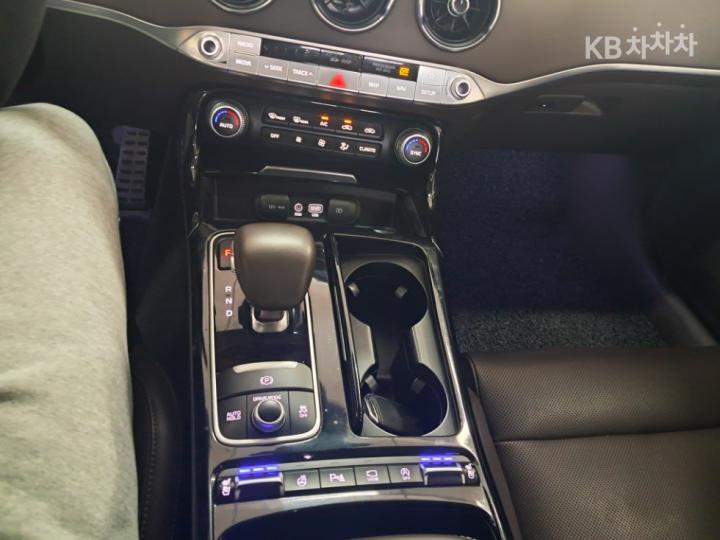 Kia Stinger 2.0 Turbo 2WD Platinum 9