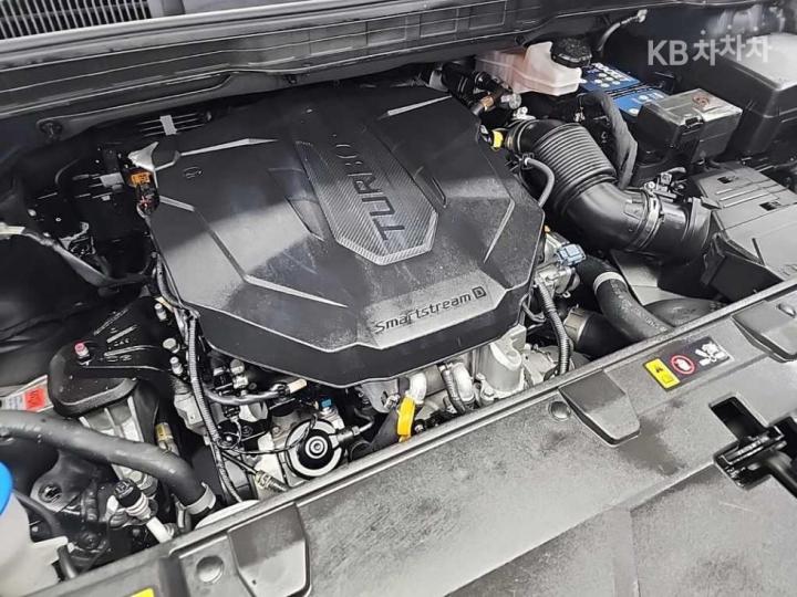 Kia Carnival D2.2 Noblesse 6