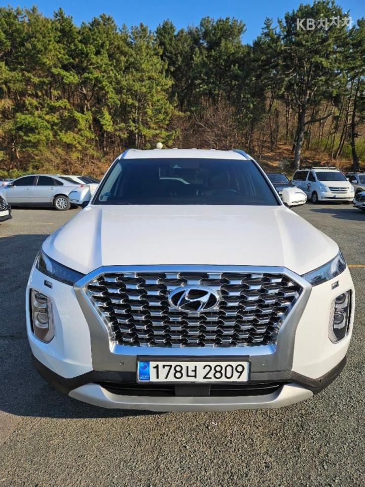 Hyundai Palisade 2.2 Diesel Exclusive 2
