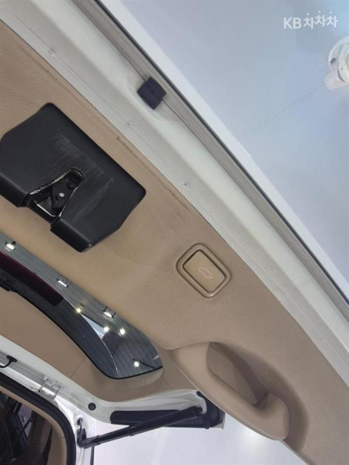 Kia Carnival 2.2 Diesel Limousine President 8