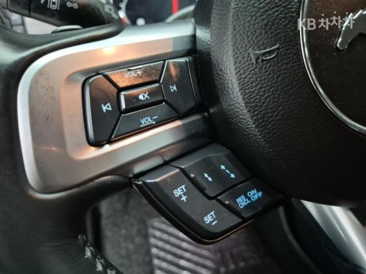 Ford Mustang Coupe Premium 9